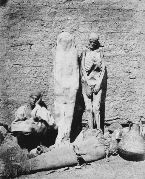 The Exploitation of Mummies: A Victorian Obsession in 2024 Perspective