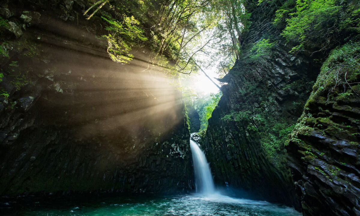 Golden Falls by Sawako Minami