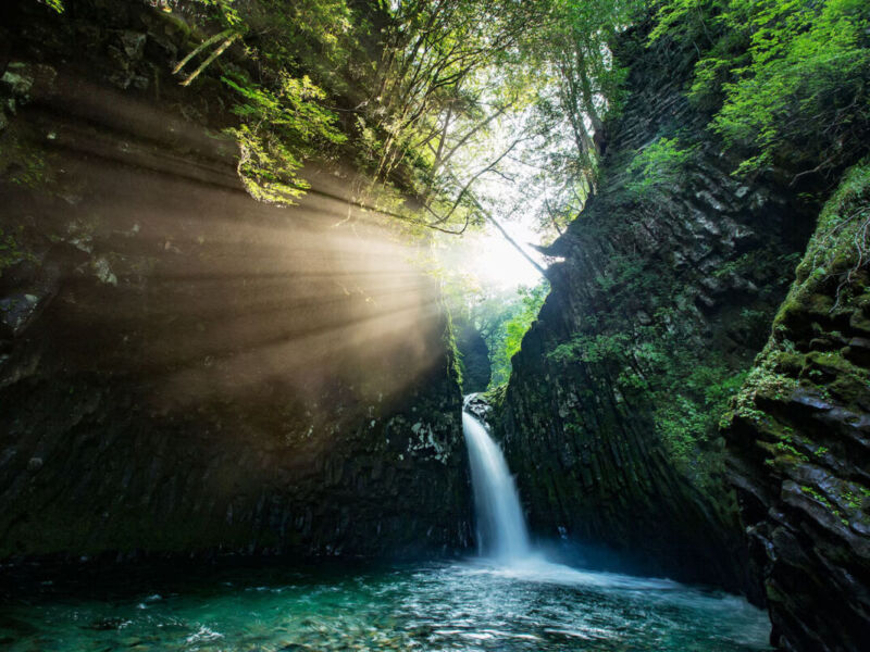 Golden Falls by Sawako Minami