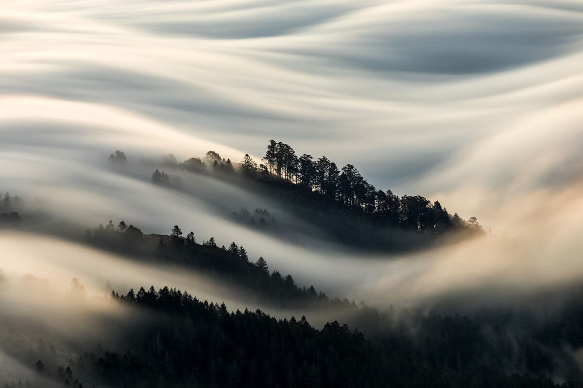 Blanket of Fog by Christopher Markisz