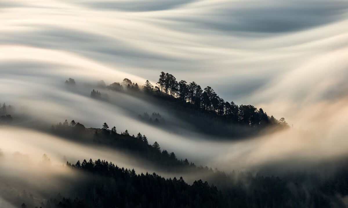 Blanket of Fog