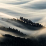 Blanket of Fog by Christopher Markisz