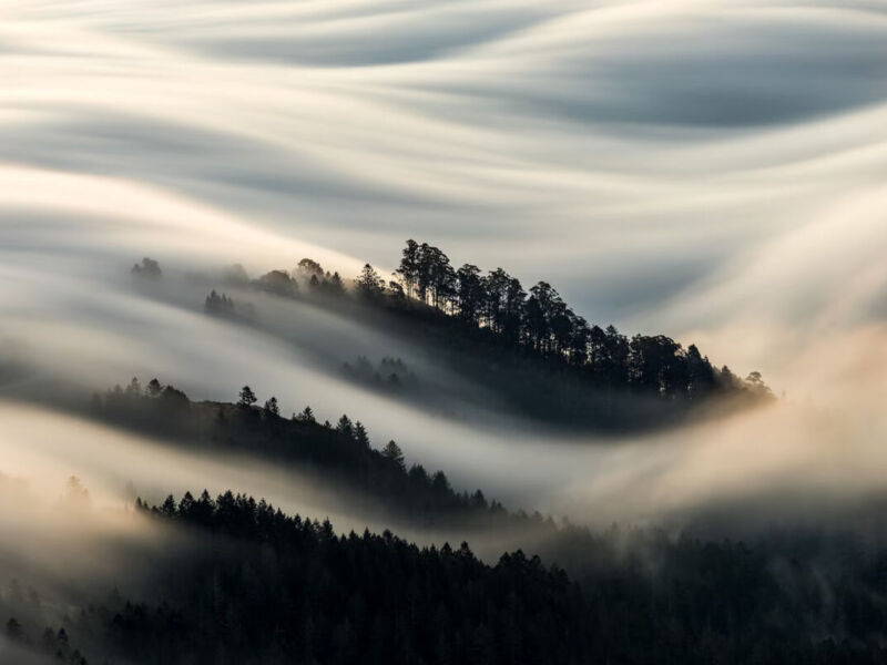 Blanket of Fog