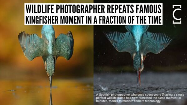 Wildlife Photographer Repeats Famous Kingfisher Moment in a Fraction of the Time