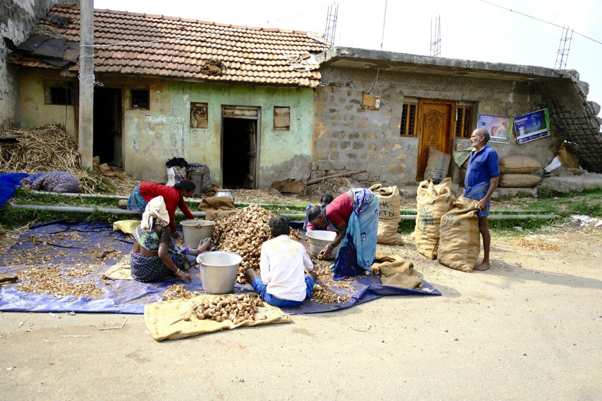The Vanishing Faces of Rural India