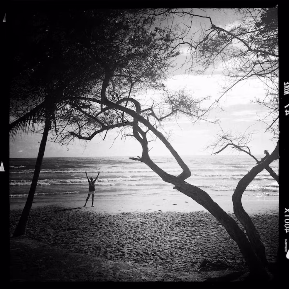 Life in Black and White