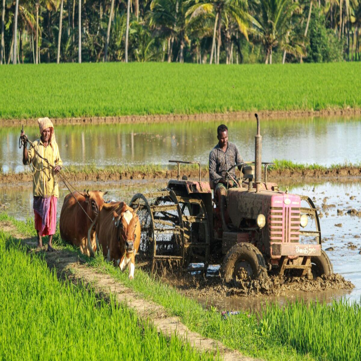 The Vanishing Faces of Rural India