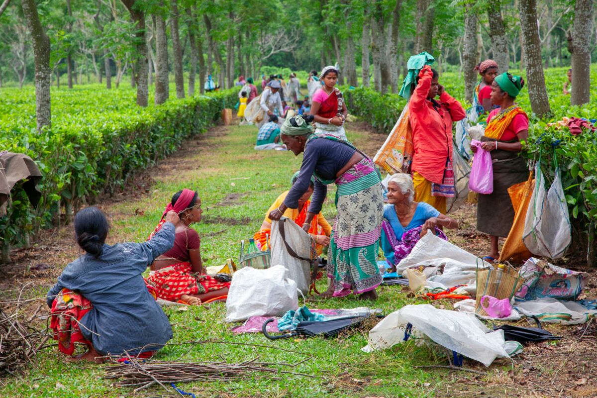 The Vanishing Faces of Rural India