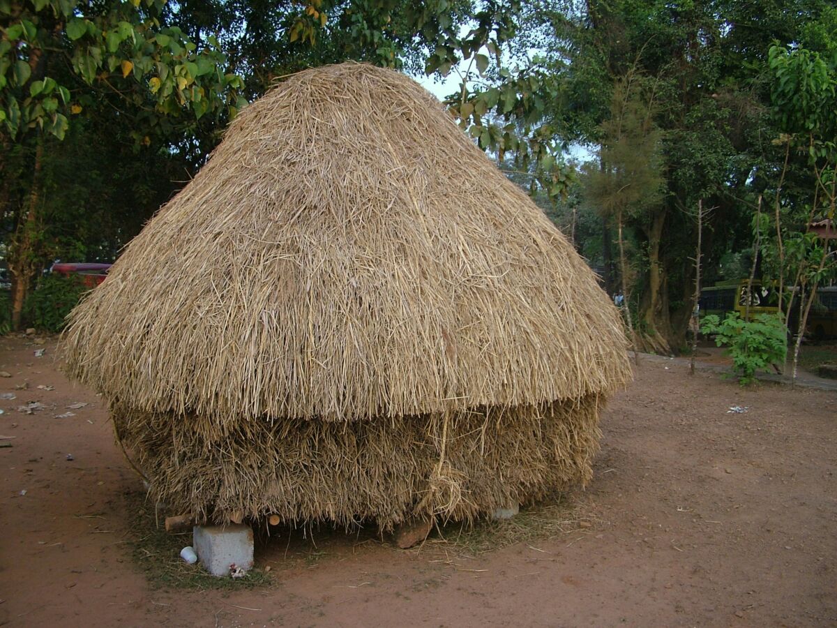 The Vanishing Faces of Rural India