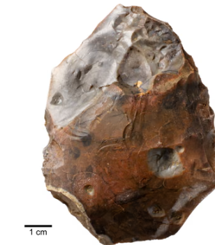 A handaxe fractured by intense heat, discovered beside a 400,000-year-old campfire at Barnham in Suffolk. Photograph by Jordan Mansfield for the Pathways to Ancient Britain Project.