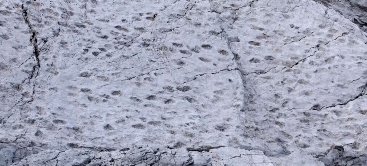 Photographer Finds Thousands of Dinosaur Footprints Inside National Park