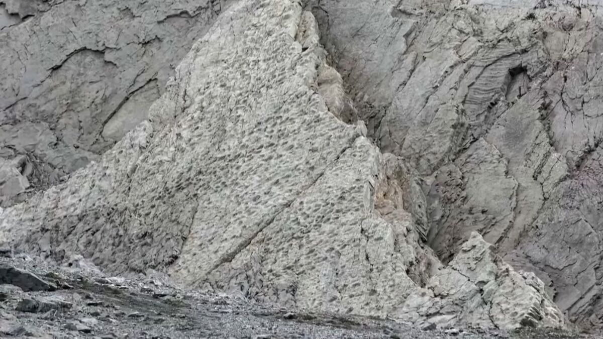 Photographer Finds Thousands of Dinosaur Footprints Inside National Park