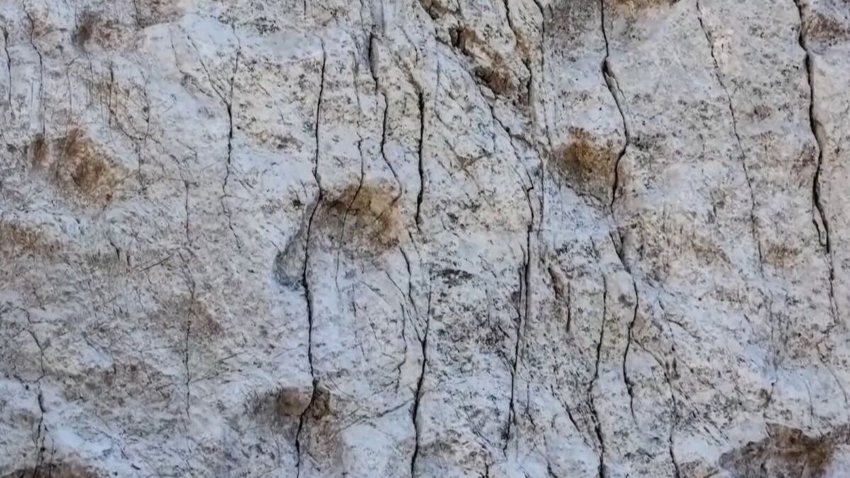 Photographer Finds Thousands of Dinosaur Footprints Inside National Park