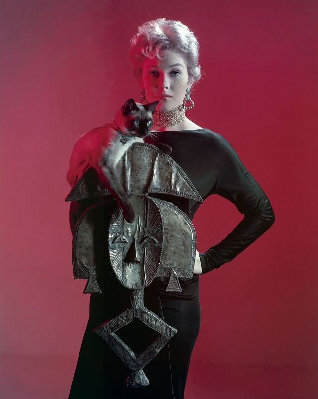 Kim Novak during her peak Hollywood years