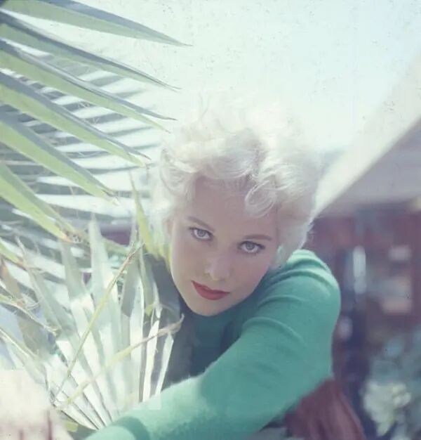 Kim Novak during her peak Hollywood years (6)