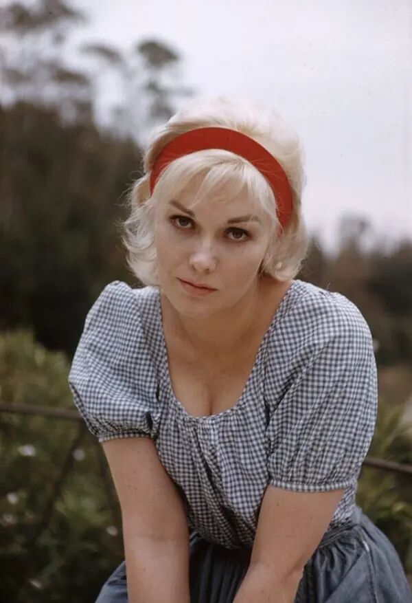 Kim Novak at Her Peak