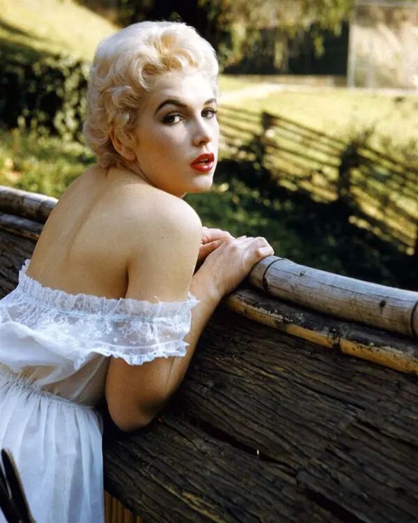 Kim Novak during her peak Hollywood years (6)
