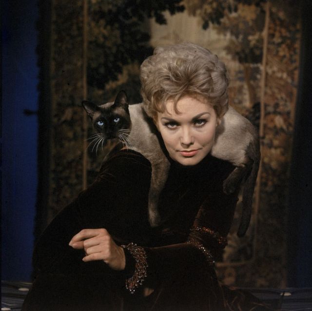 Kim Novak during her peak Hollywood years
