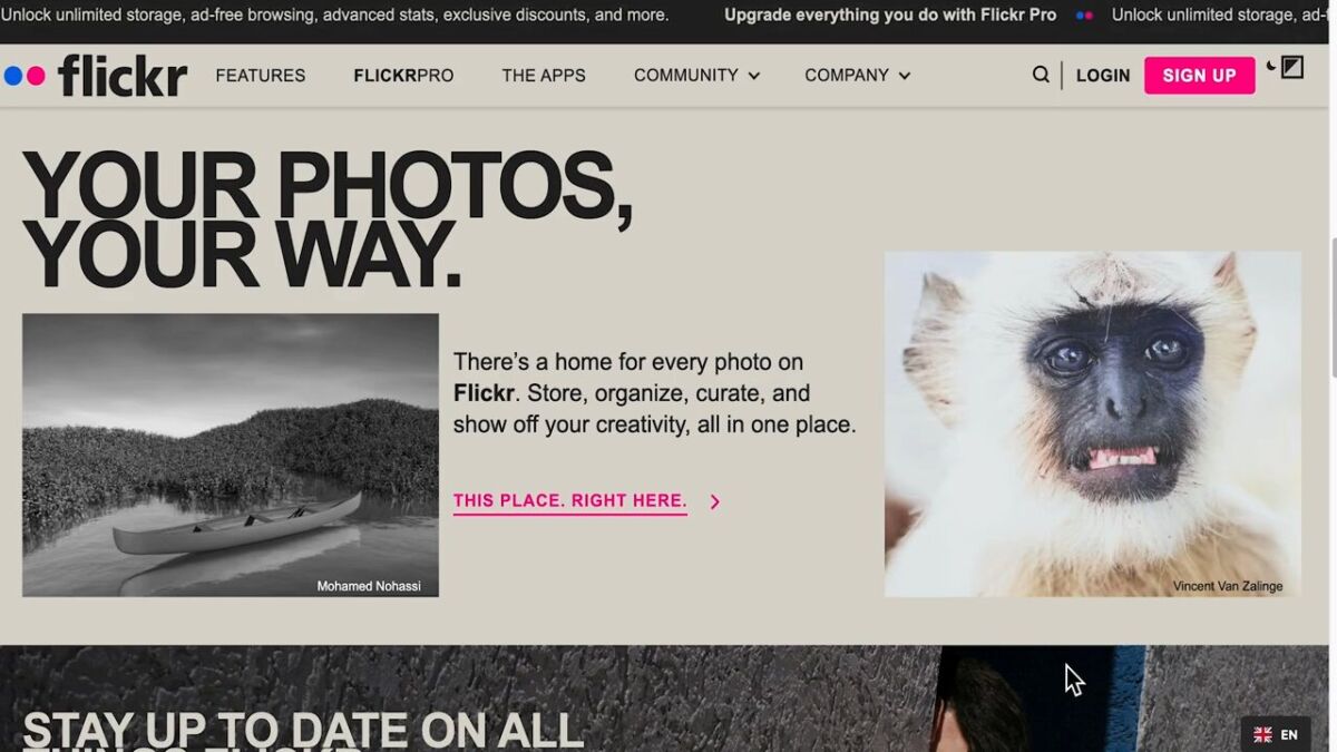 Living With Flickr Pro in 2026