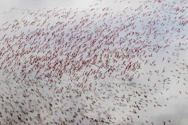 Lake Natron, Tanzania (17)