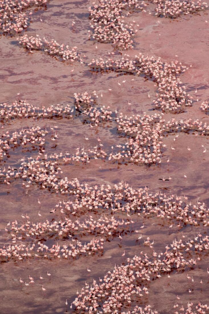 Lake Natron, Tanzania (9)
