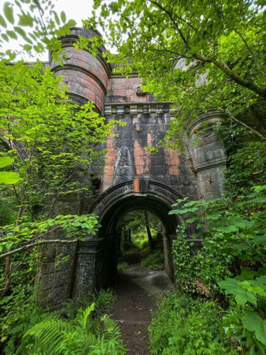 The Bridge Where Dogs Keep Jumping