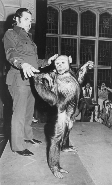 The Soviet Experiment That Tried to Create a Human Ape