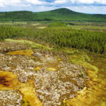 What happened in siberia that flattened 80 million trees