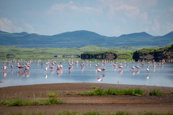 Lake Natron, Tanzania