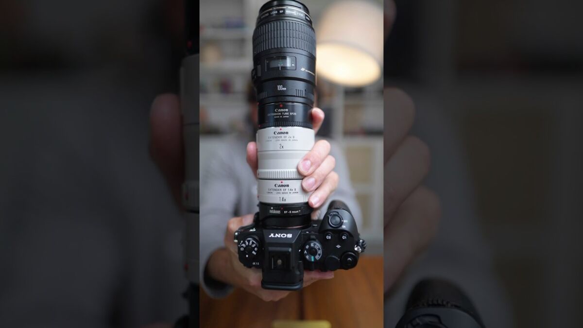 What Would You Do With This Insane Macro Lens #photography #macrophotography