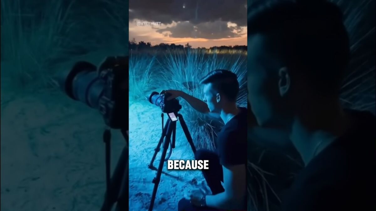 The World’s BEST Photographer😱(@KyleNutt )