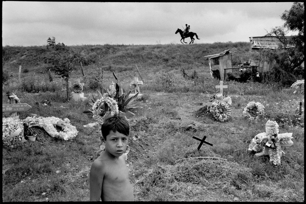 Alex Webb (b. 1952) celebrates his birthday today. He is a l...