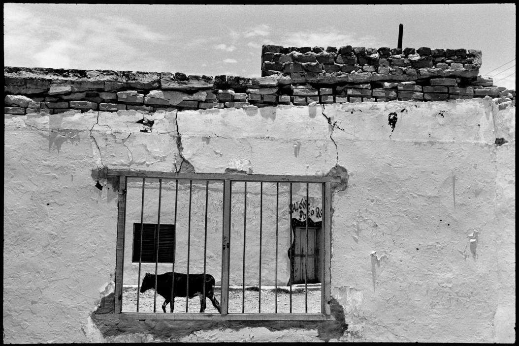 Alex Webb (b. 1952) celebrates his birthday today. He is a l...