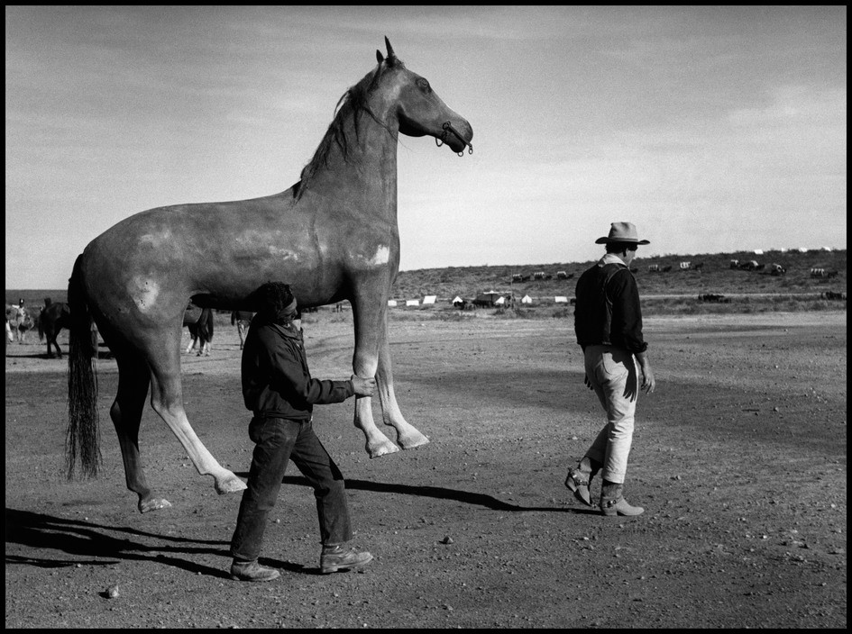 Dennis Stock (1928 – 2010) was an American journalist and pr...