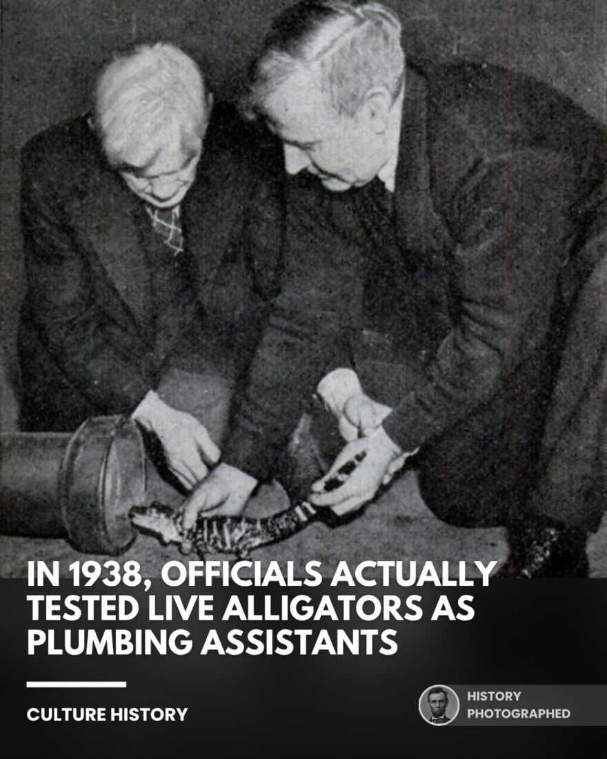 In 1938, officials at the U.S. Bureau of Fisheries aquarium in Washington, D.C.,…