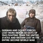 Between July and August 1943, the Eastern Front saw the Battle of Kursk and the …